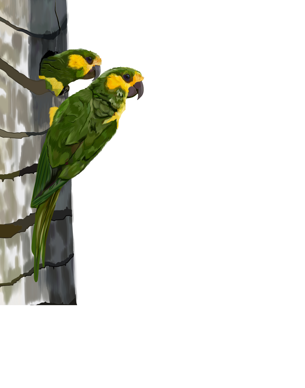 Hotel Terasu Salento - Logo